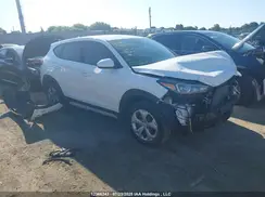 KM8J2CA48KU869440 2019 HYUNDAI TUCSON