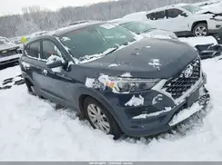 KM8J2CA48LU243680 2020 HYUNDAI TUCSON