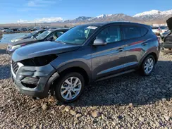 KM8J2CA49KU890703 2019 HYUNDAI TUCSON