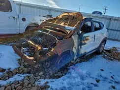 KM8J33A24HU460677 2017 HYUNDAI TUCSON