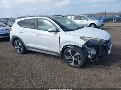 KM8J33A24HU558527 2017 HYUNDAI TUCSON