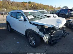KM8J33A26HU303393 2017 HYUNDAI TUCSON