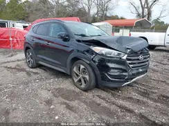KM8J33A27HU339187 2017 HYUNDAI TUCSON
