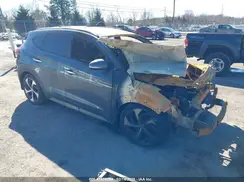 KM8J33A29HU470606 2017 HYUNDAI TUCSON