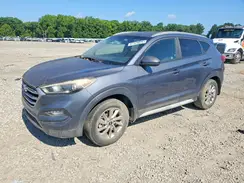KM8J33A40HU402440 2017 HYUNDAI TUCSON