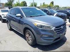 KM8J33A40HU564441 2017 HYUNDAI TUCSON