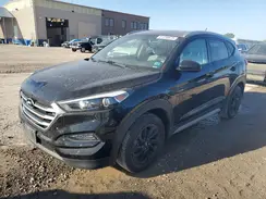 KM8J33A40HU566982 2017 HYUNDAI TUCSON