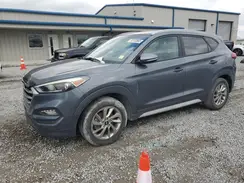 KM8J33A43HU532339 2017 HYUNDAI TUCSON