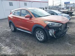 KM8J33A44HU428684 2017 HYUNDAI TUCSON