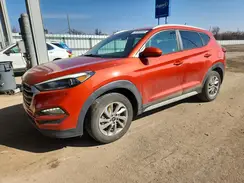 KM8J33A44HU506509 2017 HYUNDAI TUCSON