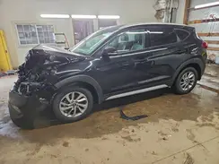 KM8J33A46HU443722 2017 HYUNDAI TUCSON