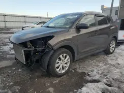 KM8J33A46KU026480 2019 HYUNDAI TUCSON