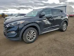 KM8J33A47HU546664 2017 HYUNDAI TUCSON