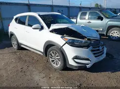 KM8J33A49HU557228 2017 HYUNDAI TUCSON