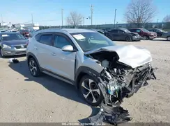 KM8J3CA20HU294092 2017 HYUNDAI TUCSON