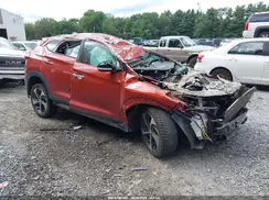 KM8J3CA20HU307309 2017 HYUNDAI TUCSON