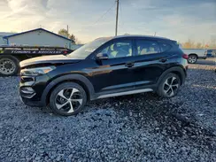 KM8J3CA20HU376551 2017 HYUNDAI TUCSON