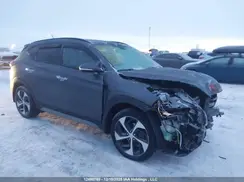 KM8J3CA20HU411721 2017 HYUNDAI TUCSON