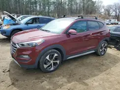KM8J3CA20HU554376 2017 HYUNDAI TUCSON