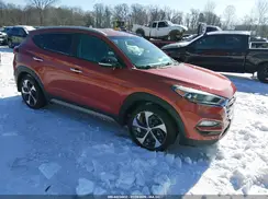 KM8J3CA21HU344420 2017 HYUNDAI TUCSON