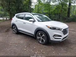 KM8J3CA23HU343253 2017 HYUNDAI TUCSON