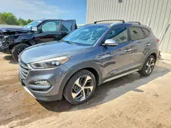 KM8J3CA23HU343981 2017 HYUNDAI TUCSON