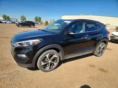 KM8J3CA23HU363177 2017 HYUNDAI TUCSON