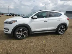 KM8J3CA24HU429672 2017 HYUNDAI TUCSON