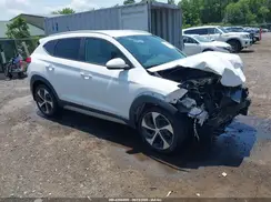 KM8J3CA25HU293407 2017 HYUNDAI TUCSON