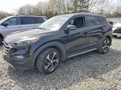 KM8J3CA26HU297305 2017 HYUNDAI TUCSON
