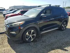 KM8J3CA26HU365604 2017 HYUNDAI TUCSON