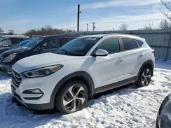 KM8J3CA26HU365795 2017 HYUNDAI TUCSON