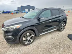 KM8J3CA26HU369684 2017 HYUNDAI TUCSON