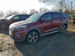 KM8J3CA26HU523228 2017 HYUNDAI TUCSON