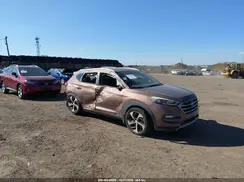 KM8J3CA28HU264564 2017 HYUNDAI TUCSON