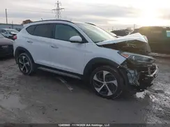 KM8J3CA28HU339442 2017 HYUNDAI TUCSON