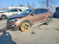 KM8J3CA28HU381772 2017 HYUNDAI TUCSON