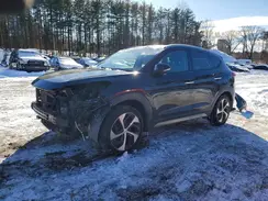 KM8J3CA29HU300651 2017 HYUNDAI TUCSON