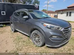 KM8J3CA40HU524182 2017 HYUNDAI TUCSON