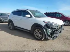 KM8J3CA40HU551589 2017 HYUNDAI TUCSON