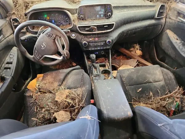 KM8J3CA40KU017564 2019 HYUNDAI TUCSON - Image 8