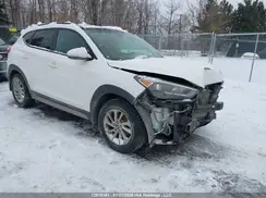 KM8J3CA43HU285890 2017 HYUNDAI TUCSON