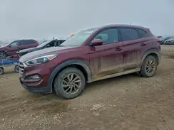 KM8J3CA43HU453981 2017 HYUNDAI TUCSON