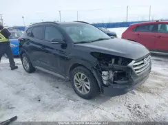 KM8J3CA43HU505979 2017 HYUNDAI TUCSON