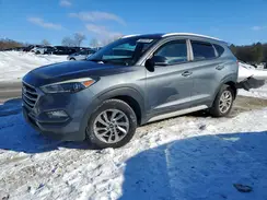 KM8J3CA44HU445291 2017 HYUNDAI TUCSON