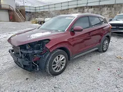 KM8J3CA46HU350716 2017 HYUNDAI TUCSON