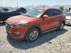 KM8J3CA46HU443039 2017 HYUNDAI TUCSON