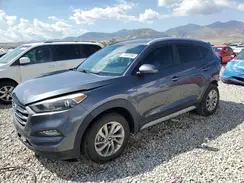 KM8J3CA46HU494346 2017 HYUNDAI TUCSON