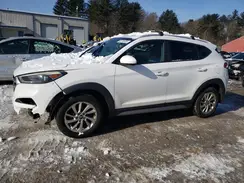 KM8J3CA47HU271233 2017 HYUNDAI TUCSON