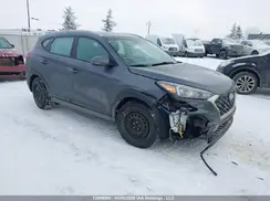 KM8J3CA47KU976041 2019 HYUNDAI TUCSON